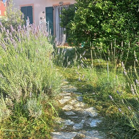 La Casa Di Ulivi Villa Piano di Follo Luaran gambar
